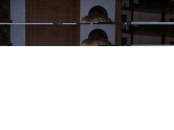 Generalvers2004 049