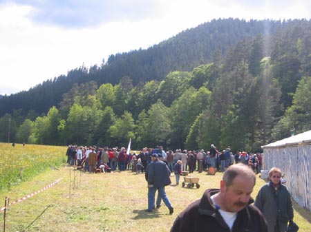 Sensen EM 2006 038