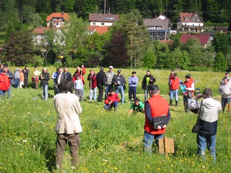 Sensen EM 2006 055