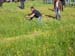 Sensen EM 2006 062