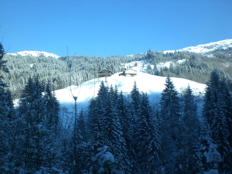 Ski Innerberg 09 145
